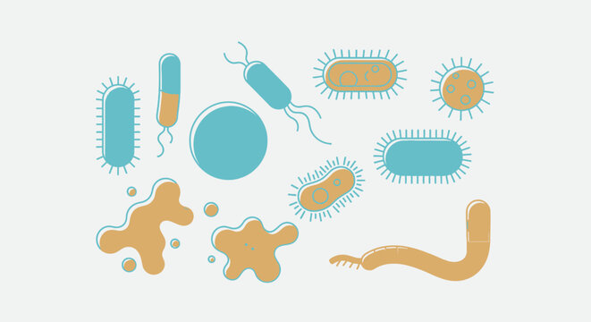 Illustration of various bacteria shapes and forms.