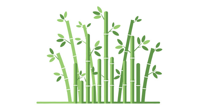 Bamboo Plants Illustration.