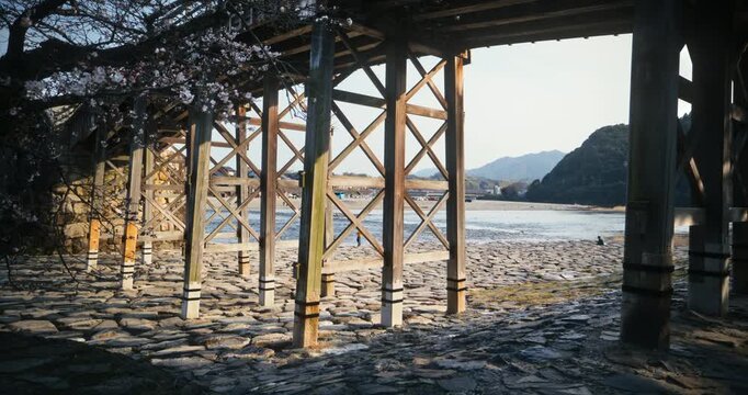 Steady Cam Under Wooden Bridge Pillars Near Spring Cherry Blossoms