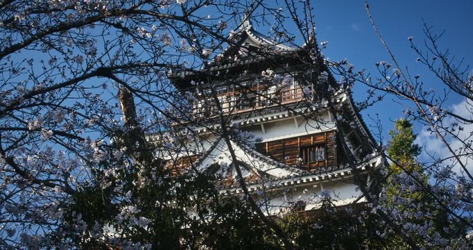 Ancient Japanese Castle Tower Framed by Cherry Blossoms With Blue Sky Behind In Hiroshima - Low Angle