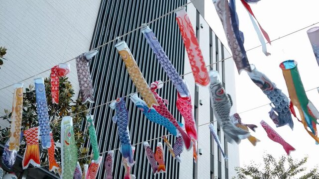 Colorful Carp Streamers Flying in the Wind by Building