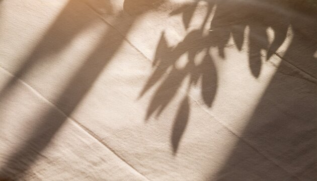 Summer Blurry Background With Abstract Floral Sun Light Shadows On Linen Beige Texture Aesthetic Minimalist Backdrop Or Bunner With Copy Space