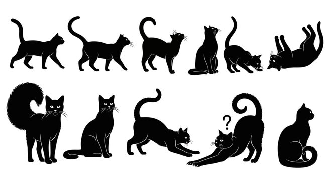 Collection of black cat silhouettes in various playful and curious poses, depicting domestic felines in different actions