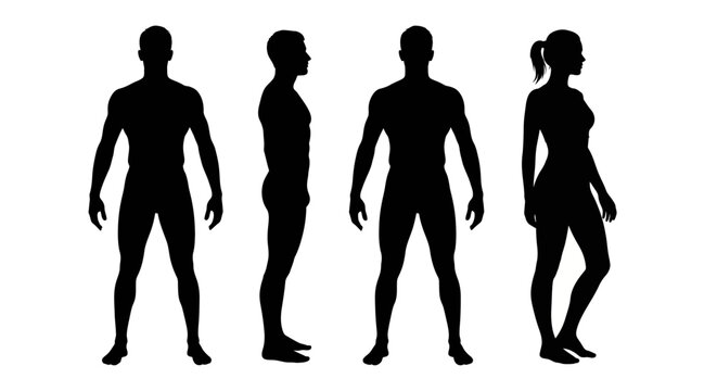 Vector silhouettes of male and female human body figures in front and side views