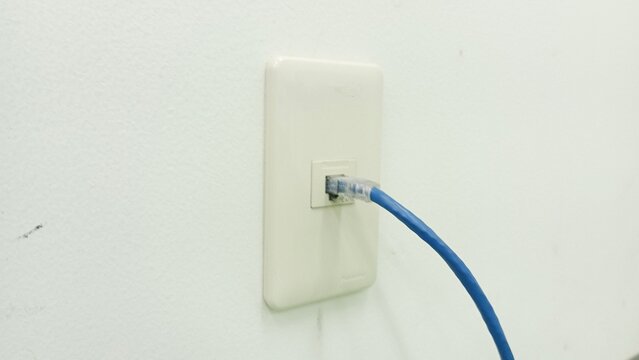 Blue Ethernet Cable Connected to Wall Network Outlet Faceplate