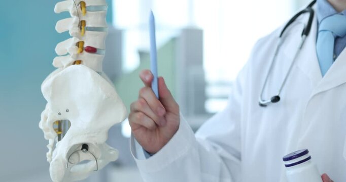 Doctor demonstrating human spine model and pills in clinic, closeup