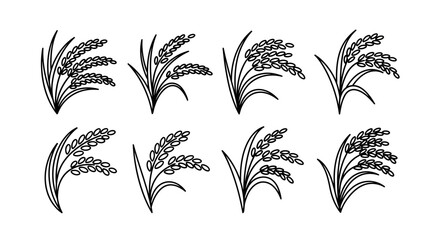 Rice stalk outline drawings set for farming and harvest design elements © matahari