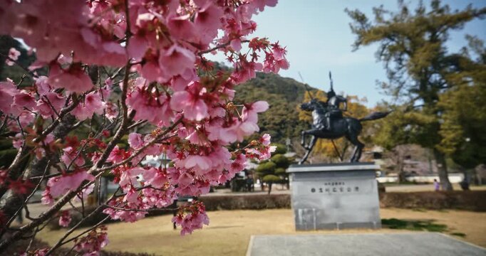 Cherry Blossom Tree and Old Equestrian Statue in Hiroshima Park Of Japan