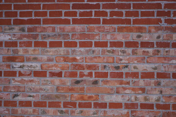 Fototapeta premium Red brick wall texture with visible mortar lines