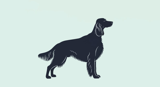 Detailed vector silhouette of a pedigree Irish Setter dog standing in profile. Factual graphic illustration featuring a dark canine figure with long feathered fur and long ears.