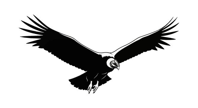 Black and white vector illustration of an Andean condor in flight with fully extended wings, featuring a detailed white neck ruff, hooked beak, and sharp talons isolated on white.