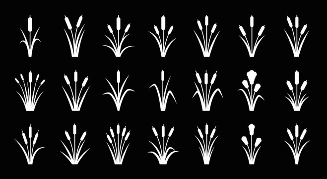 Set of white cattail and reed plant icons on a black background.