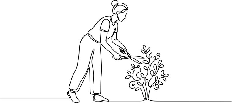 Continuous line drawing of a woman gardening and pruning a shrub.