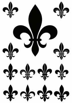 Set of thirteen black fleur-de-lis icons in various heraldic styles and sizes isolated on a white background, featuring decorative lily flower symbols for design and branding.