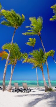 Paradise exotic sandy beach Punta Cana, Dominican Republic. Relaxing sun loungers under palm trees and Caribbean sea