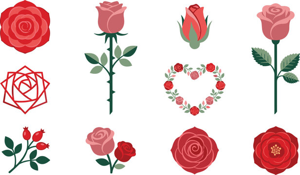Rose flower collection featuring blooming roses floral wreath rosebuds botanical elements and romantic garden illustrations vector set