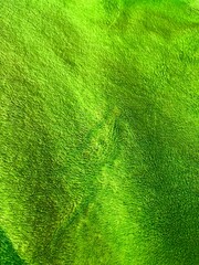 Close-up Full Frame Texture of Vibrant Neon Green Soft Fabric Material © Al-Jabbar99
