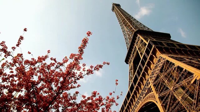 Eiffel Tower with Blooming Red Flower Branches Against Sky
