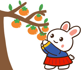 Fototapeta premium Rabbit picking persimmons 