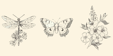 Dragonfly butterfly and floral arrangement vintage style sketch illustration © Roni
