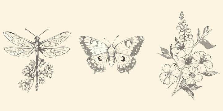 Dragonfly butterfly and floral arrangement vintage style sketch illustration