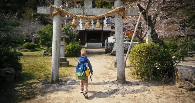 Child Walking Toward Torii Gate at Ancient Japanese Shinto Shrine - Steady Cam Shot