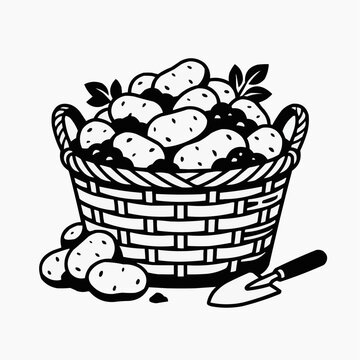 Basket of fresh potatoes with a small garden trowel and leaves