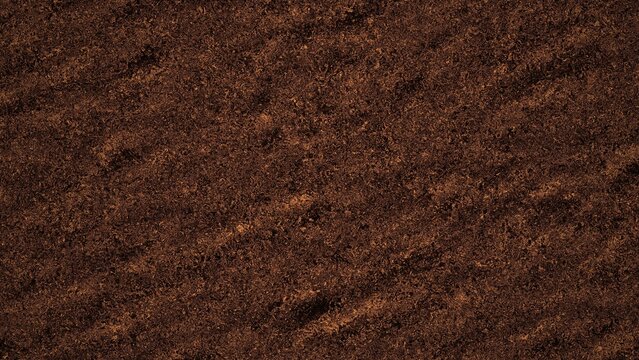 Close-up of dry cracked soil texture