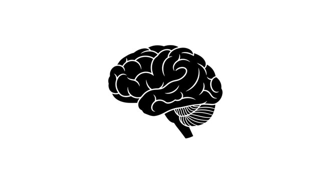 Human Brain Illustration Side View.