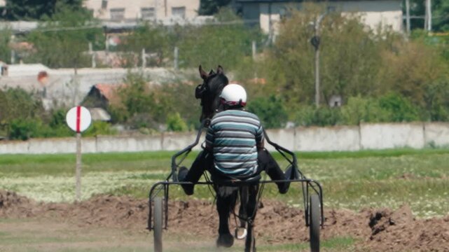 Rear view of a professional jockey driving a powerful black trotter during a fast-paced training session on a dirt racetrack, preparing for an upcoming harness racing competition
