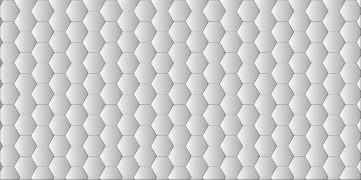 Realistic white hexagon type gradient geometric mesh cells texture. abstract modern honeycomb bee mesh  web banner texture futuristic Embossed Hexagon wallpaper.