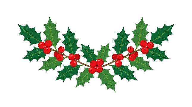 Christmas Holly Berries with Green Leaves Curved Branch Vector Illustration Decorative Holiday Arch Isolated on White Background