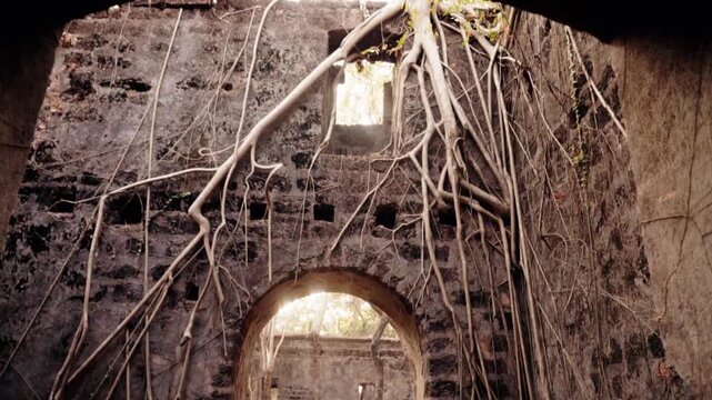 Sunlight shining through arches of an abandoned ancient building reclaimed by nature, with large tree roots growing down the weathered stone walls in a mysterious and desolate environment