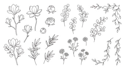 Minimalist botanical line art collection, hand drawn floral vector elements, elegant black and white flower sketches for wedding invitations © Dream Time Studio