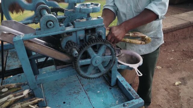 Man working at an outdoor food stall, preparing a traditional healthy drink by feeding sugar cane stalks into a mechanical juicer and extracting the fresh liquid into a container