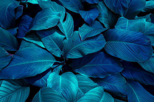 Elegant blue tropical foliage pattern background