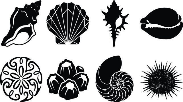 Sea shell and marine life silhouette icon set featuring scallop, conch, nautilus, sand dollar, and sea urchin vectors for coastal design