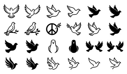 Fototapeta premium Premium Dove Bird Vector Collection with Peace and Flying Symbols