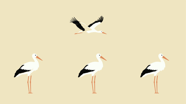 White stork birds set, flying and standing stork icons vector artwork wildlife nature design package