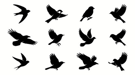 Obraz premium Set of Twelve Detailed Black Silhouettes of Various Flying Birds in Motion