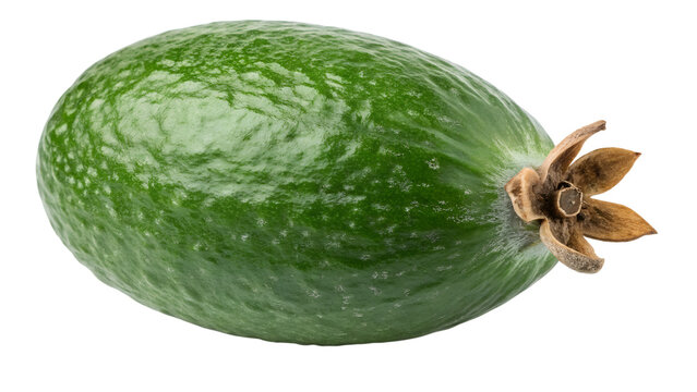 Single Ripe Green Feijoa Pineapple Guava Fruit with Stem