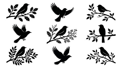 Obraz premium Black bird silhouettes sitting on tree branches and flying