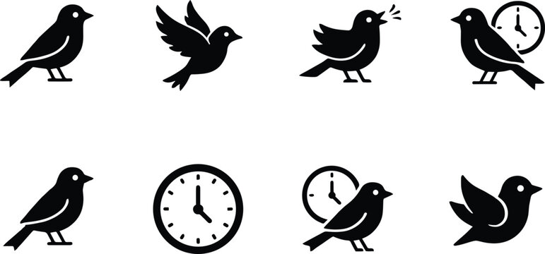 Bird Icons Showing Different Poses And A Clock On White Background birds flying