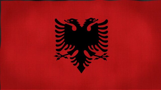 Albania National Flag Waving Double Headed Eagle Dark Textured Background