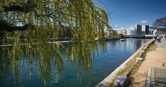 Slow Motion Movement Near Weeping Willow Overhanging River Walkway in Hiroshima, Japan