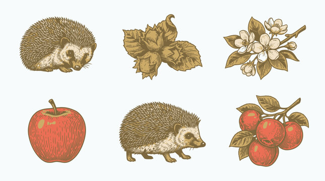 Vintage vector illustration set of animals fruits and botanical elements for branding packaging and farm label.
