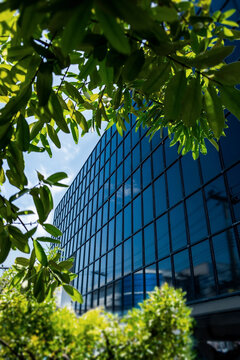 Modern glass office building with green trees and natural light. Representing sustainable architecture, eco friendly design and urban environment.
