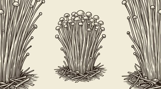 Vector line art mushroom growth and mycelium spore illustration.
