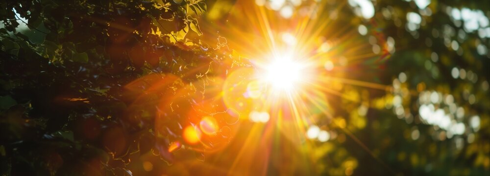 Sunburst Through Foliage: A brilliant sunburst radiates light and warmth as it shines through lush green foliage, creating a dazzling display of light flares and bokeh effects.