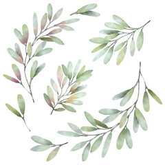 Fototapeta premium Watercolor Botanical Leaf Branch Collection Isolated on Transparent Background